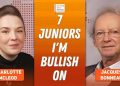 Jacques Bonneau: How I Pick Junior Miners, Plus 7 Stocks I Like Now