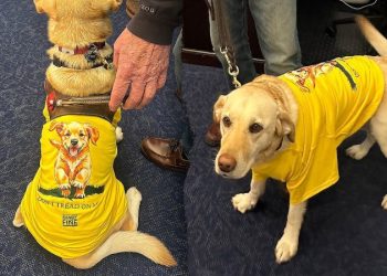 Rep Randy Fine to bring 4-legged guest Sadie to Trump’s State of the Union amid backlash over X post