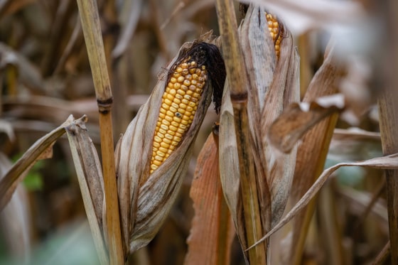 Is America on the cusp of a farm crisis?